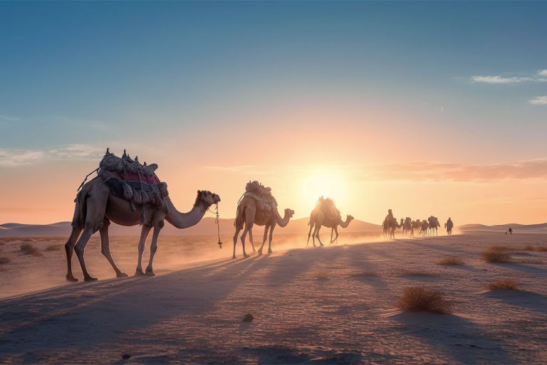 Desert Safari Dubai – An Experience Of A Lifetime